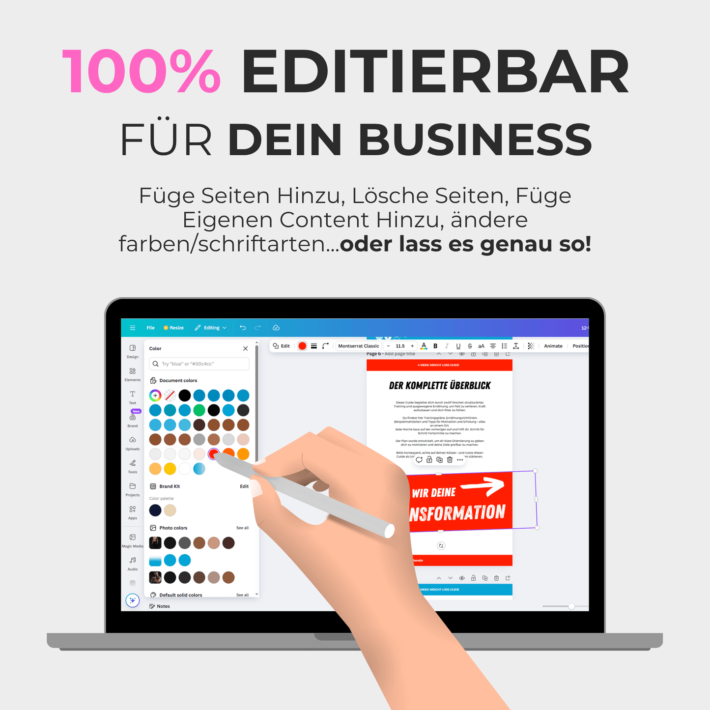 Fertige 12-Wochen Fat-Loss Vorlage für Frauen